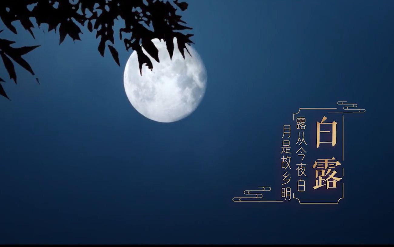 [图]我们的好时节⑩｜白露：露从今夜白，月是故乡明