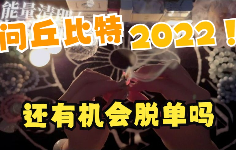 【Vivien塔罗】[重磅推出]2022年到底能不能脱单/以及ta全部的信息哔哩哔哩bilibili