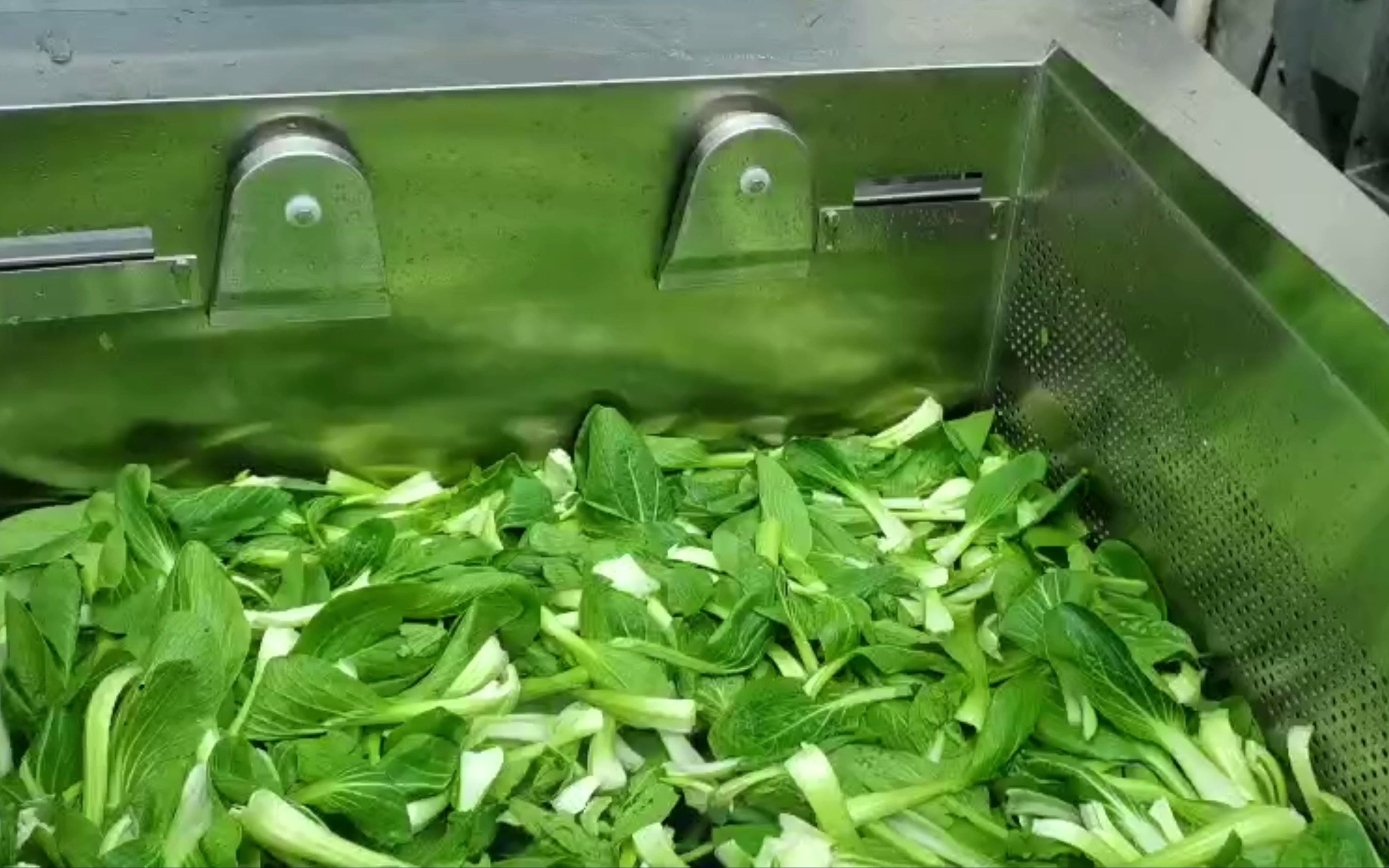 苏州德赛斯中央厨房 净菜加工 400多功能清洗机  洗青菜   全自动清洗