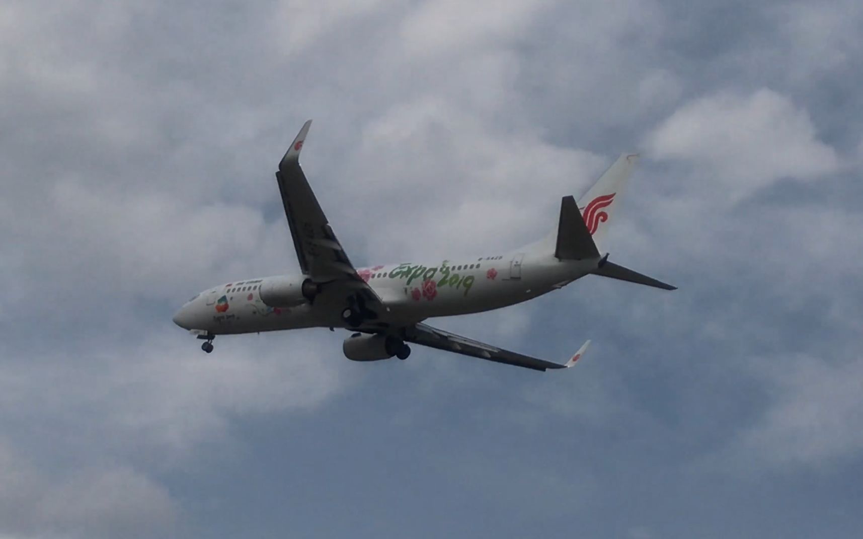 国航b737 2019 expo世园会涂装降落北京首都机场