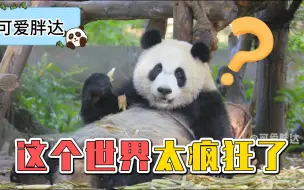 Descargar video: 这个世界太疯狂了！姐弟居然性转成了兄妹！