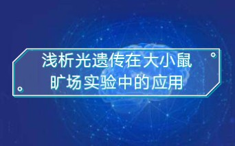 上海欣软旷场实验分析系统(型号:XRXZ301)由SuperMaze动物行为分析软件,采集卡,旷场实验箱及摄像机组成,可以分析动物各区域活动情况.哔哩...