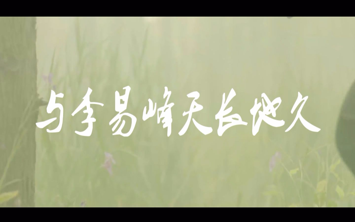 [图]李易峰出道9周年贺频-与李易峰天长地久-bgm：白昼之月