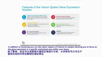 Скачать видео: 陈巍翻译 用Visium方法做脑的空间转录组的发现