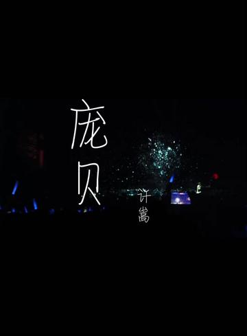 20240413许嵩「呼吸之野」演唱会武汉站《庞贝》片段,超爱《庞贝》啊