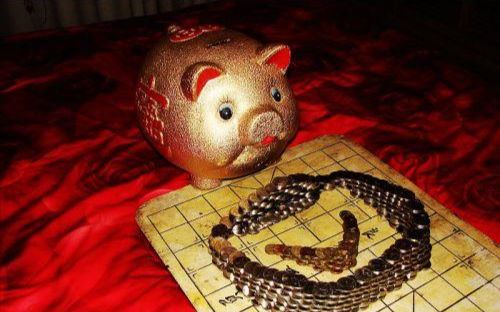 膜拜神级程序员揭密及打造震惊全球的计算机金猪报喜病毒看完不得不服