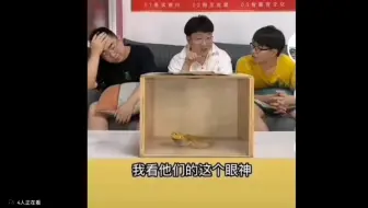 哈哈哈哈哈摸箱猜物