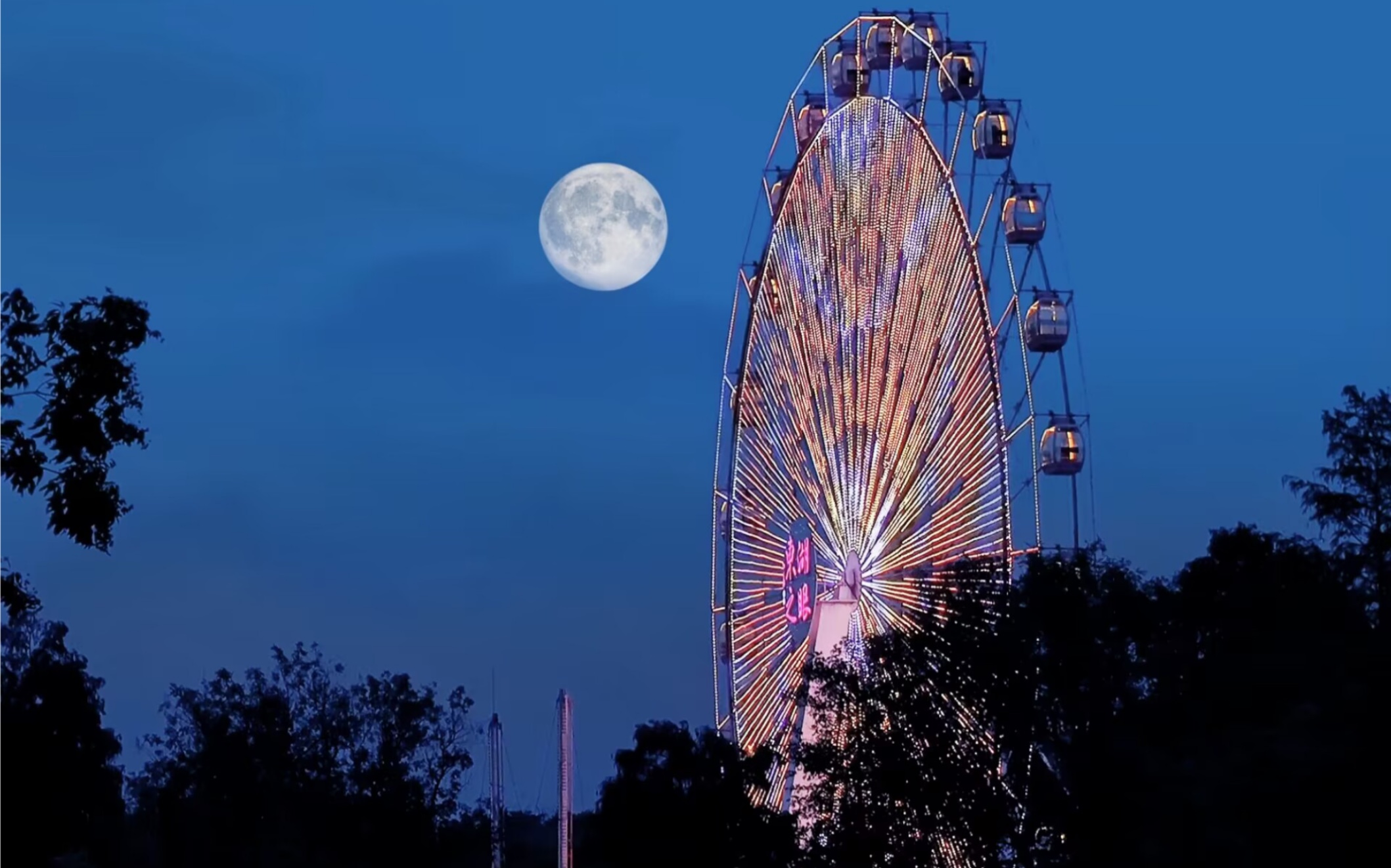 日常vlog|东湖之眼|恐高人群的丢脸时刻