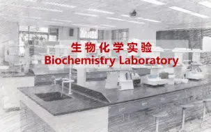 Download Video: 2020 - 生物化学实验 - 北京大学