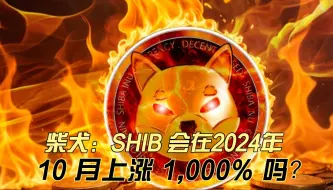 Download Video: 柴犬：SHIB 会在 2024 年 10 月上涨 1,000% 吗？