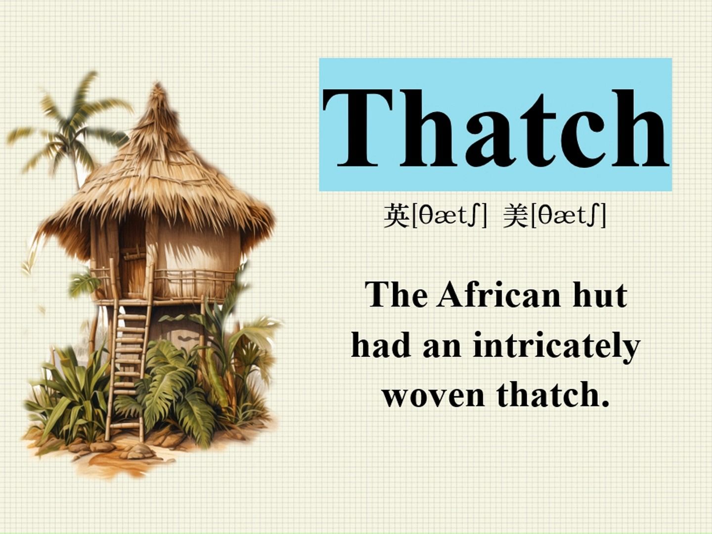 thatch 看图说话 记单词 英语阅读