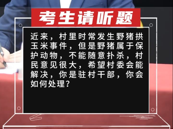 近来,村里时常发生野猪拱玉米事件,但是野猪属于保护动物,不能随意扑杀,村民意见很大,希望村委会能解决哔哩哔哩bilibili