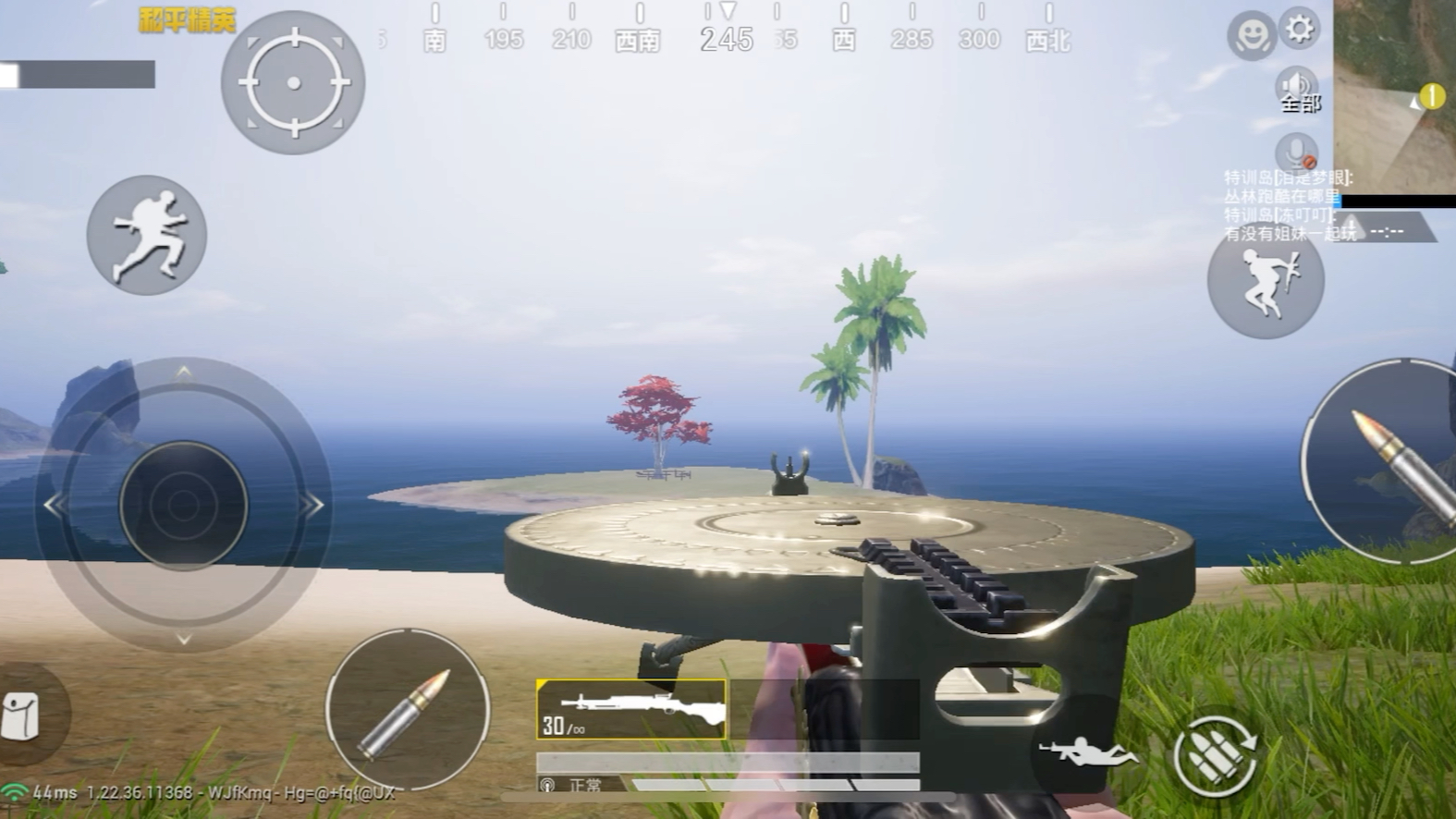 和平精英 dp-28 扶摇飞仙 轻机枪 皮肤