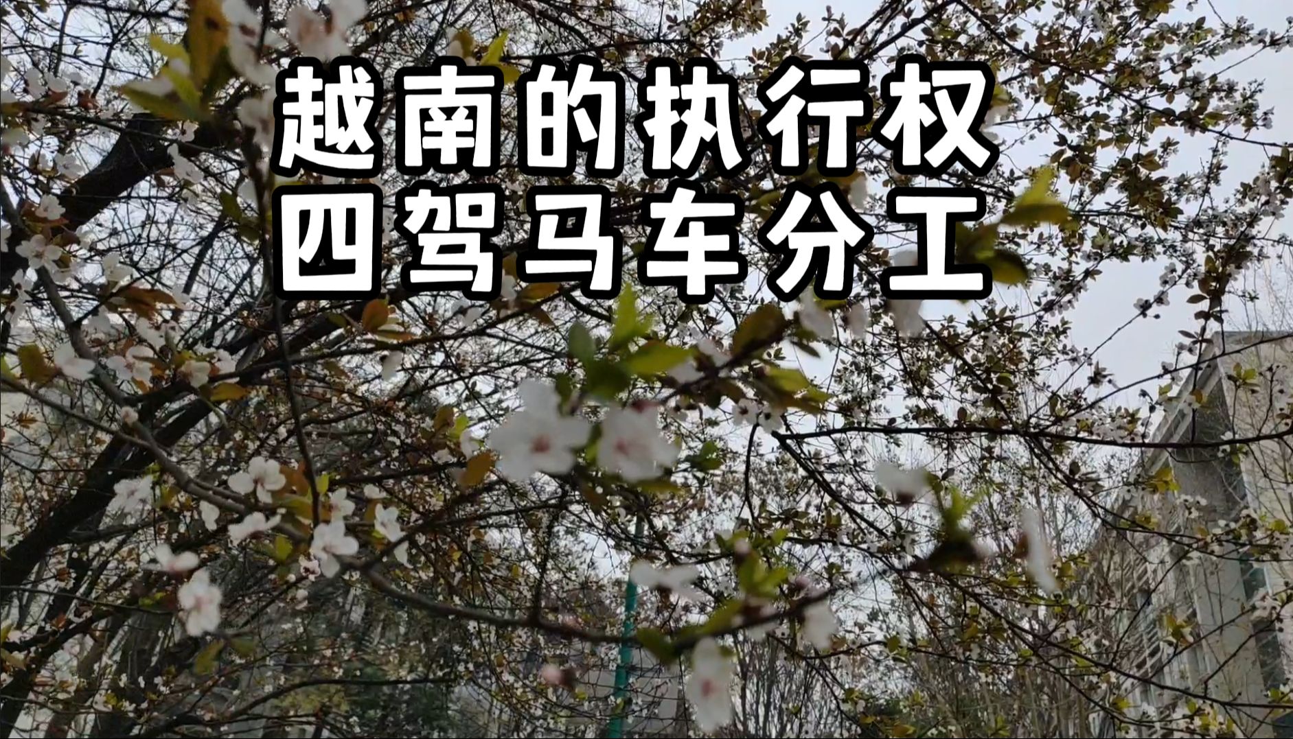 越南总理真的很累