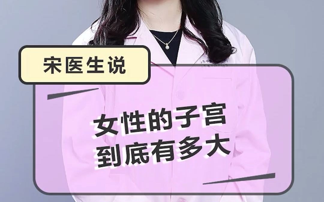 女性的子宫到底有多大?哔哩哔哩bilibili