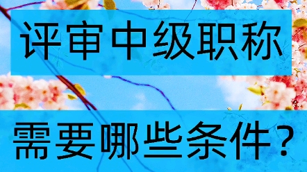 职称改革后评审中级职称需要哪些条件?哔哩哔哩bilibili