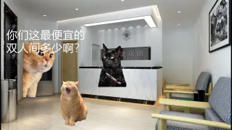 下载视频: [猫meme]关于我和好兄弟一起住情侣套房这件事