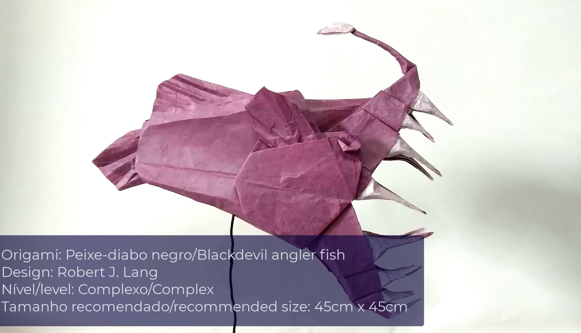 【allan origami】黑魔鬼鱼折纸教程origami peixe-diabo negro