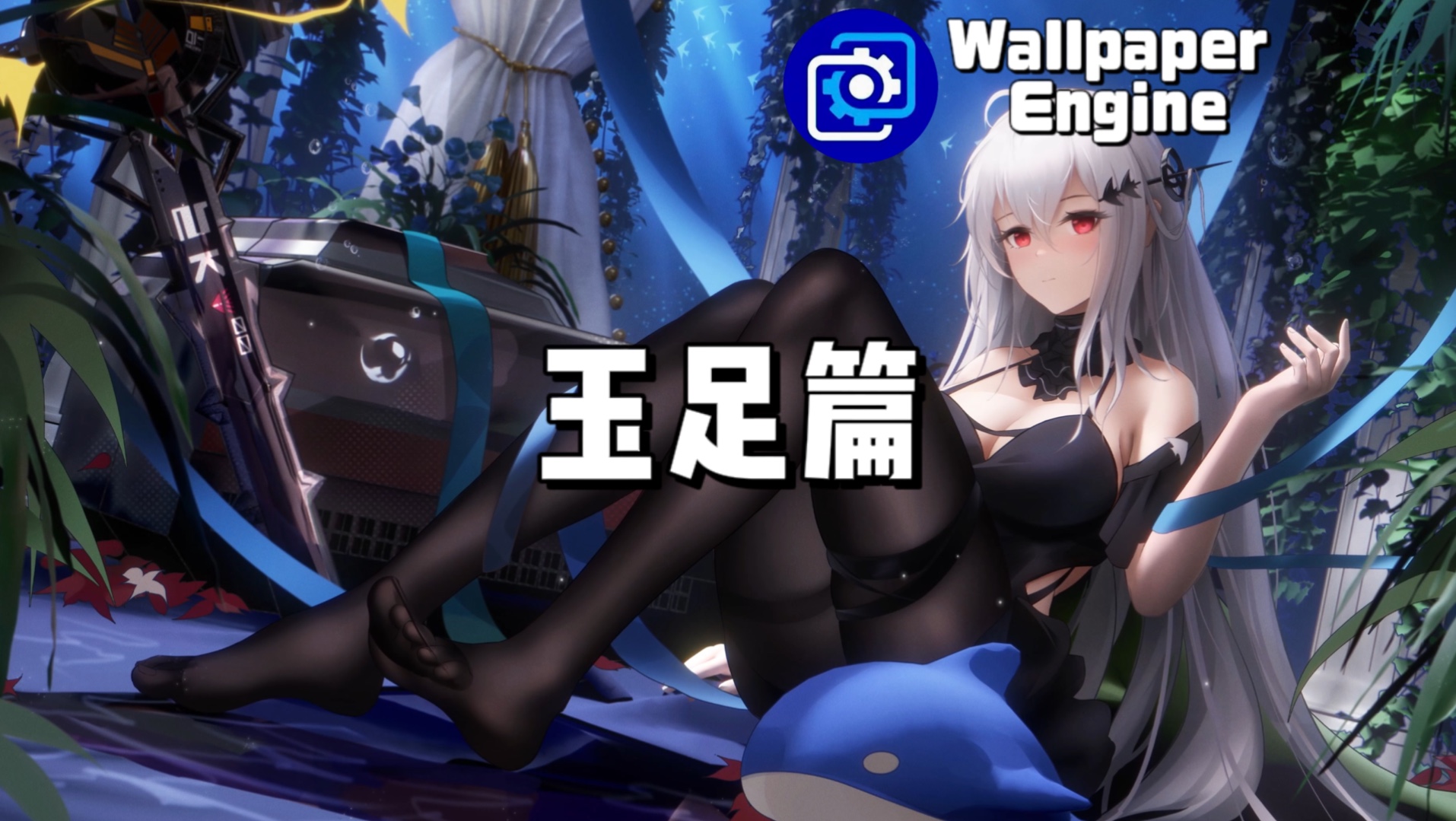 【Wallpaper Engine】壁纸推荐 玉足篇哔哩哔哩bilibili