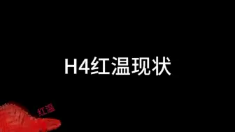 Descargar video: H4红温现状