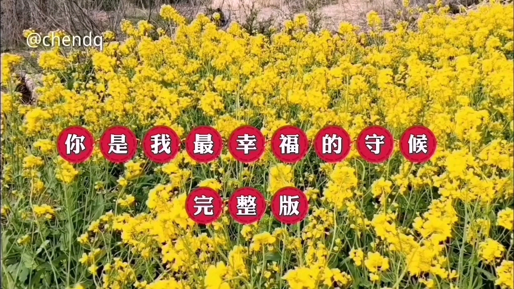 [图]《你是我最幸福的守候》完整版