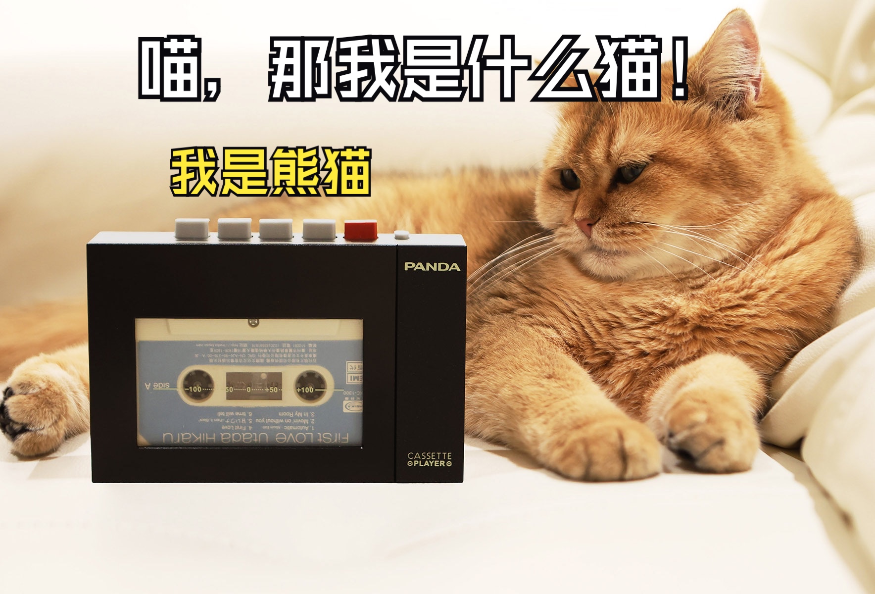 磁力熊猫好用吗安全吗=磁力熊猫好用吗安全吗知乎