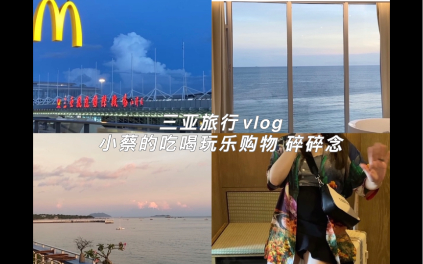 【小蔡の三亚vlog】三亚旅行攻略/三亚湾 天涯镇/酒店 民宿 万豪/免税店 美食 闲聊天哔哩哔哩bilibili