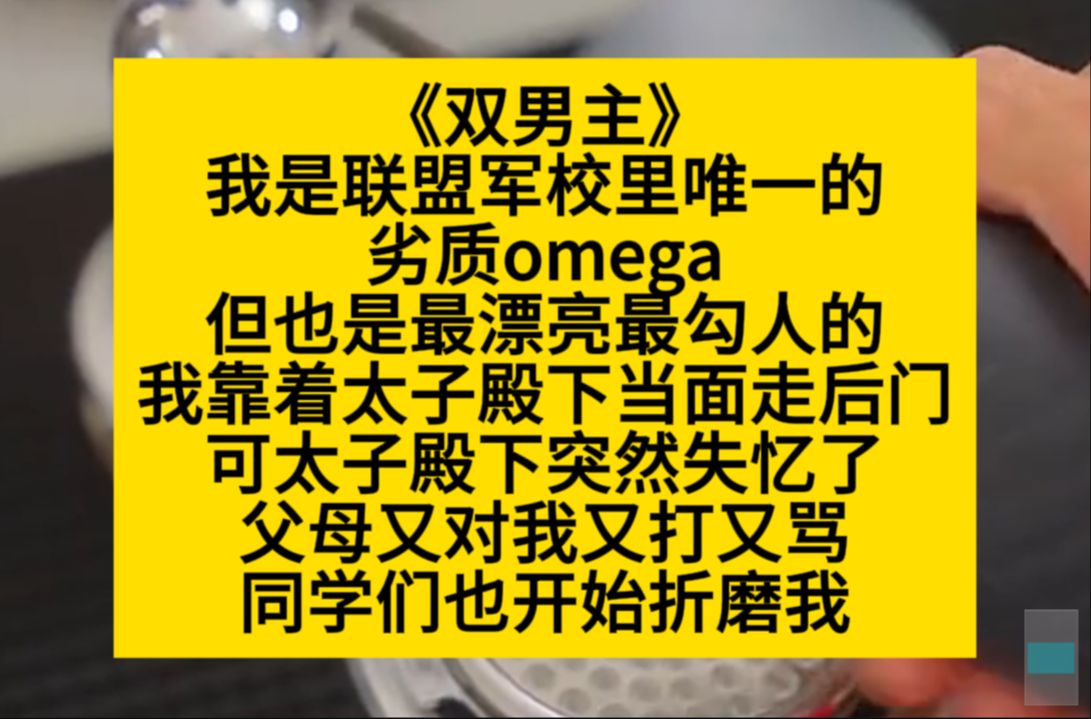 双男主 我是联盟军校里唯一的劣质omega,但也是最漂亮勾人的omega,小说推荐哔哩哔哩bilibili