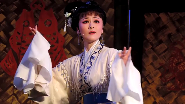 俞景岚 越剧《何文秀 枝头鸟雀闹声喧》