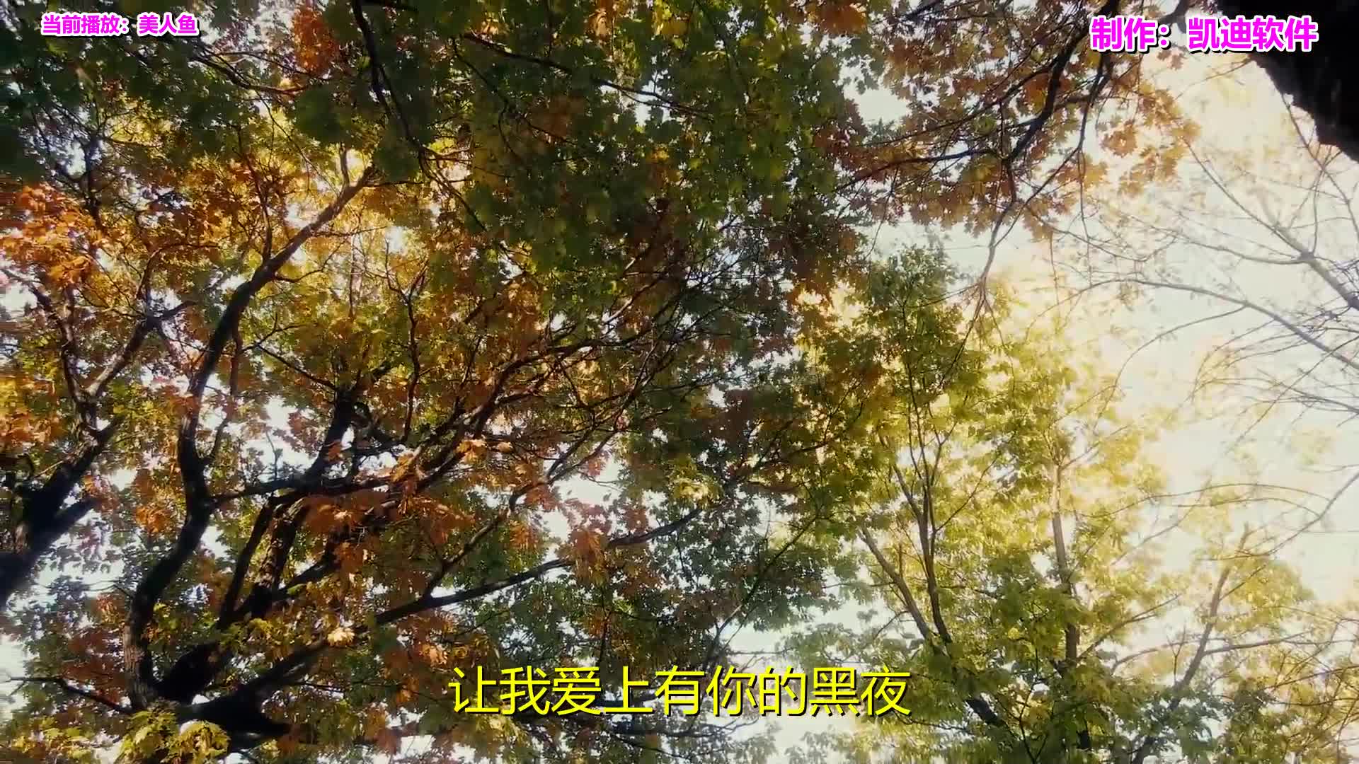 《美人鱼》欣赏,什么软件可以下载amv视频哔哩哔哩bilibili