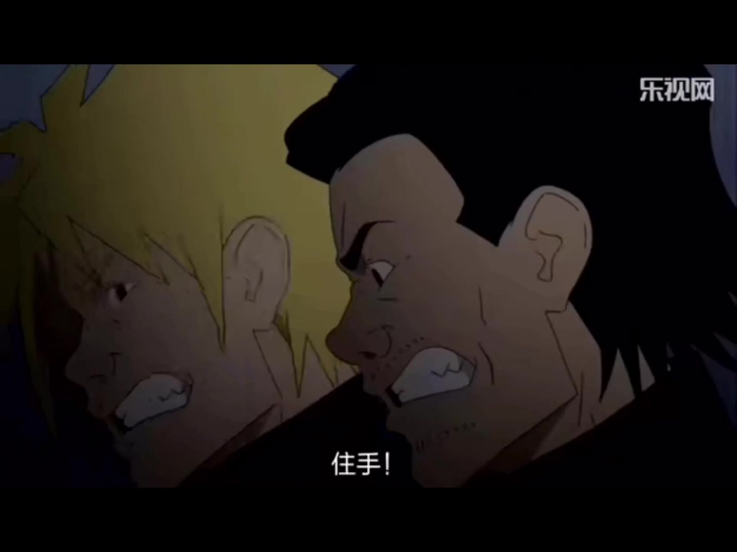 模型姐妹