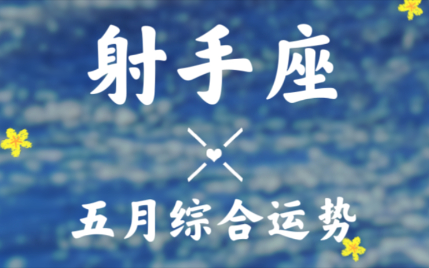 射手座五月超详细综合运势播报“快乐奔跑的同时也看看美好的风景吧”哔哩哔哩bilibili