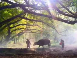 Скачать видео: 这曲萨克斯《又见炊烟》听着真舒服，简直太美了！