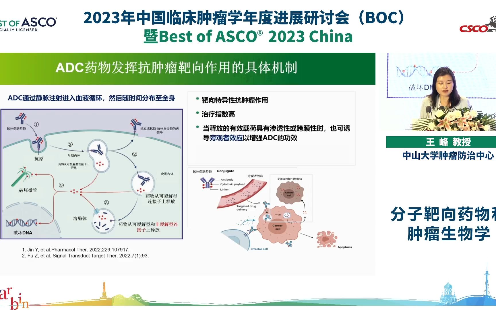 【2023BOC | 分子靶向药物和肿瘤生物学】EGFRHER3双特异性抗体药物偶联物ADC用于晚期实体瘤患者的I期临床研究 附生物标志物哔哩哔哩bilibili