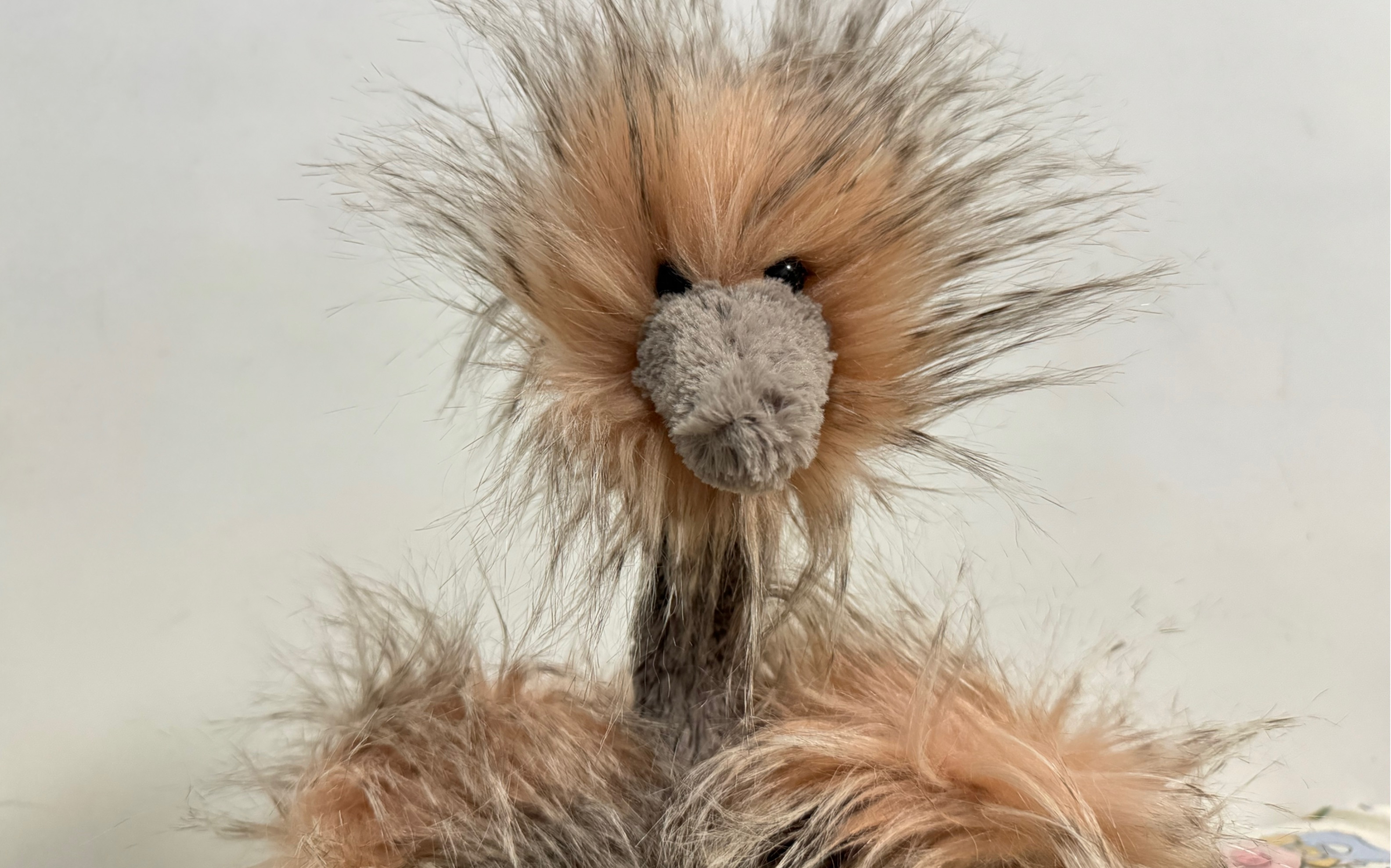 塔塔老师|jellycat鸵鸟宝宝开箱!