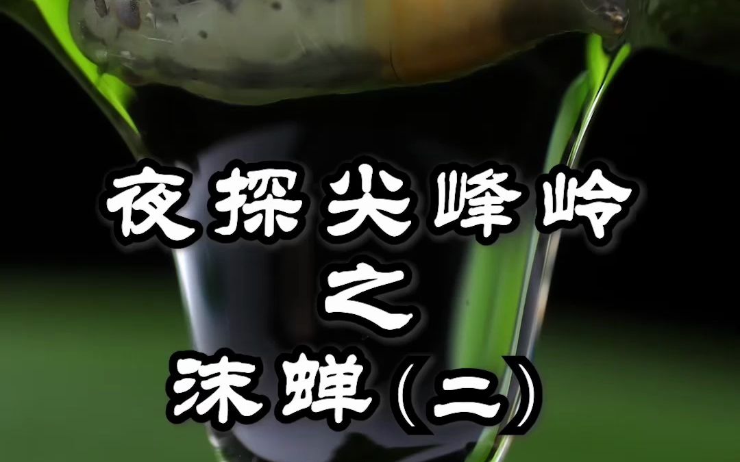 【少科ⷨ‰丛日记】 沫蝉黏糊糊的小秘密哔哩哔哩bilibili