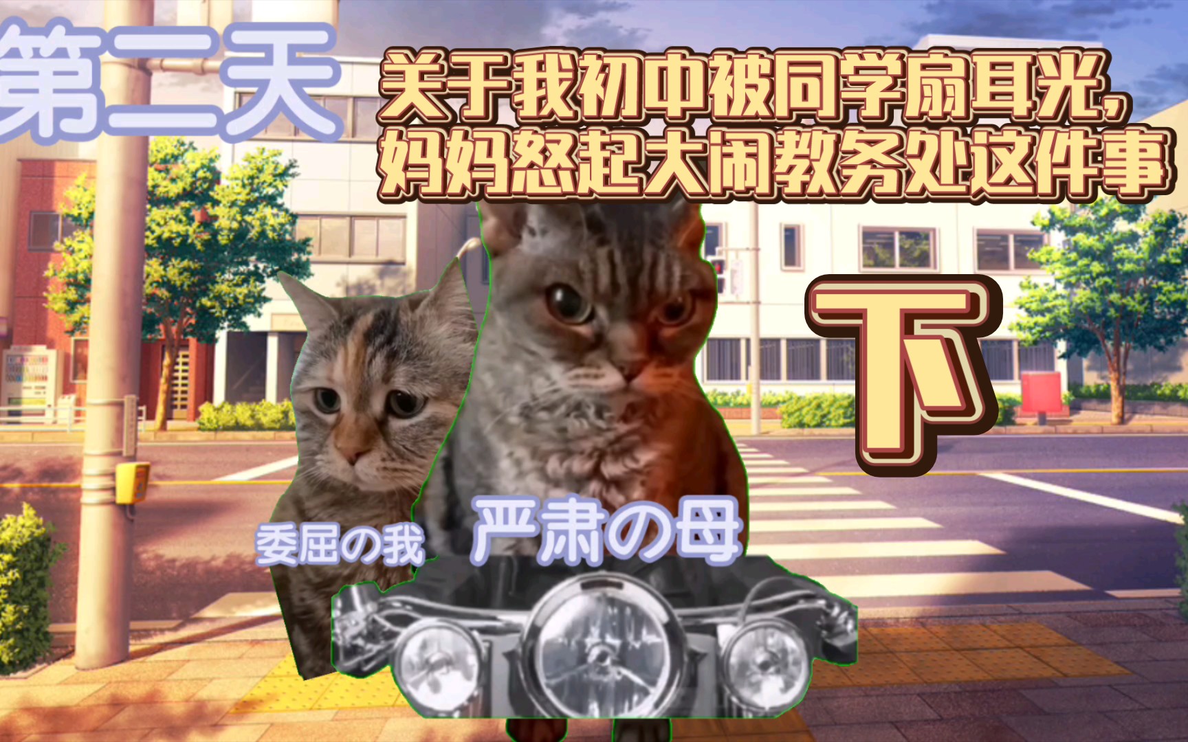 [猫meme] 关于我初中被同学扇耳光,妈妈怒起大闹教务处这件事(下)哔哩哔哩bilibili