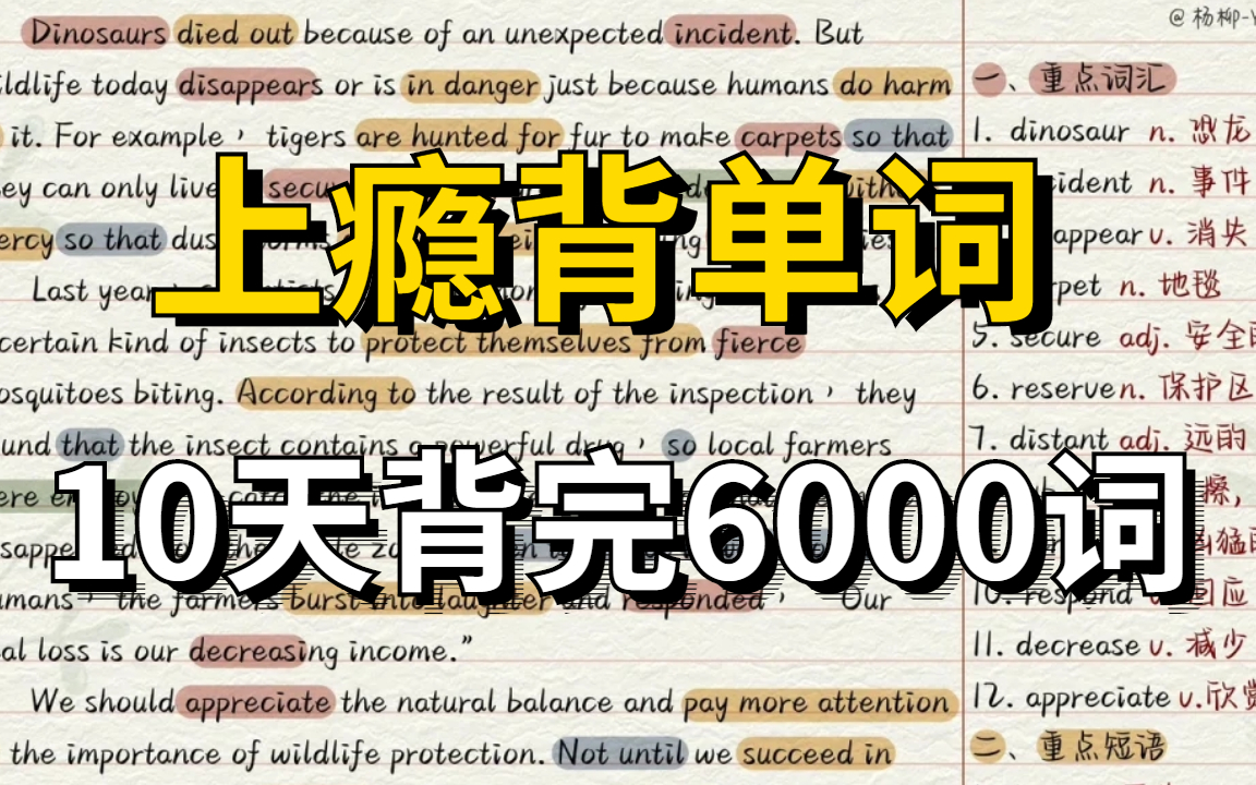 冒死上传!价值八千的培训机构不愿分享的ily单词记忆课程!北外学姐私藏英语学习视频,轻松背单词,暴涨4500词汇!自学必备!英语从入门到高级!哔...