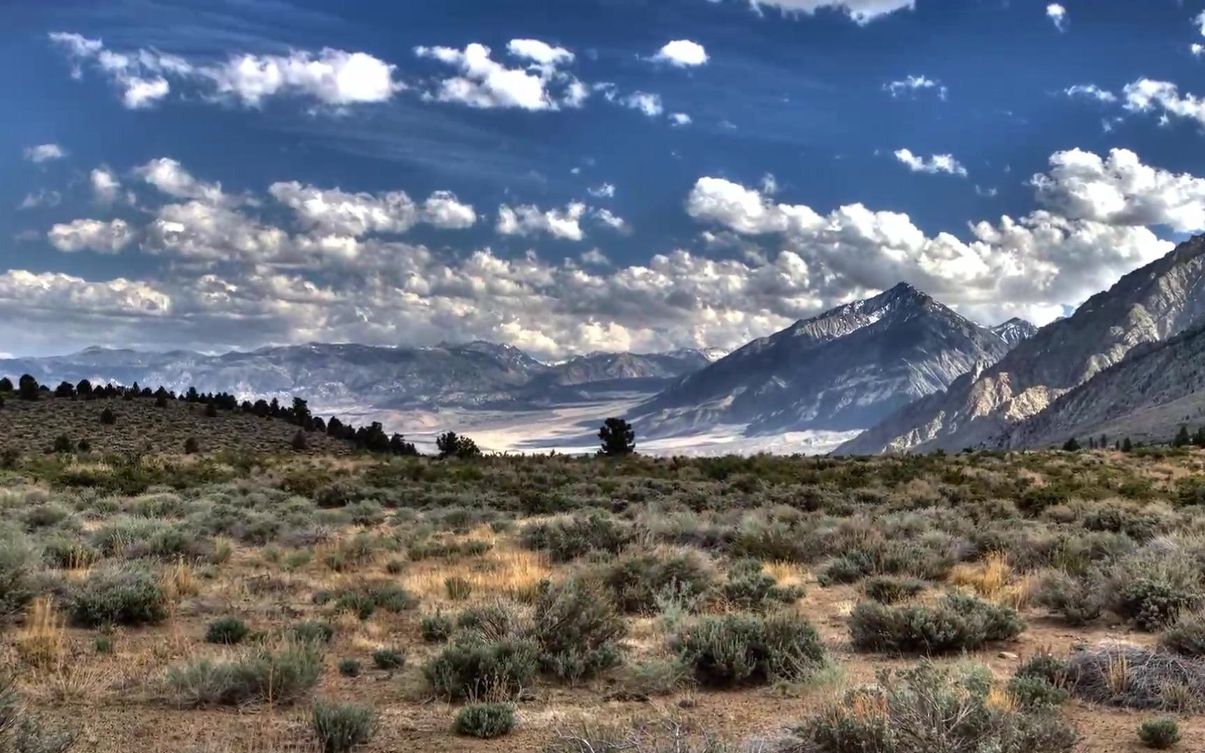 大画幅摄影基础课程