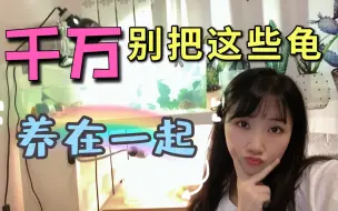 Download Video: 乌龟混养你了解多少？女龟友给你讲个故事就明白了！新手养龟必看