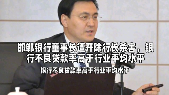 邯郸银行董事长遭开除行长杀害,银行不良贷款率高于行业平均水平哔哩哔哩bilibili