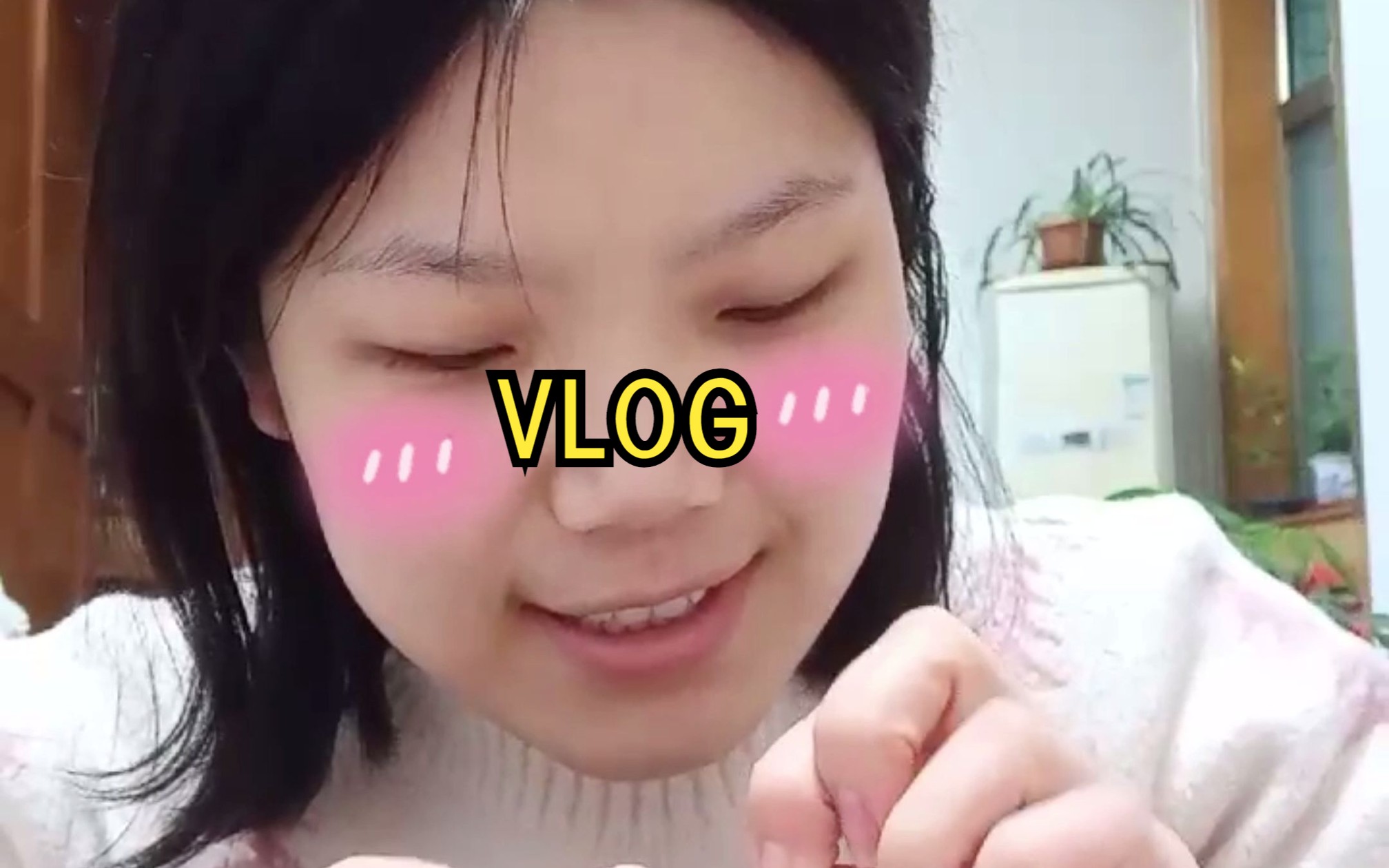 兔年寒假的第一支vlog哔哩哔哩bilibili