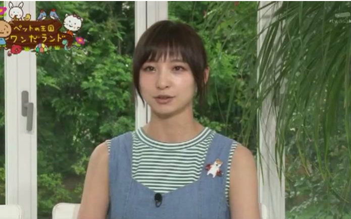 【宠物王国】水难救助犬 関根勤 筱田麻里子 浅田美代子 2015年6月28日【生肉】哔哩哔哩bilibili