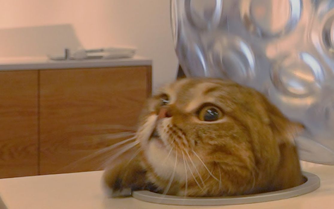 creamheroes中字lulu解锁了新技能