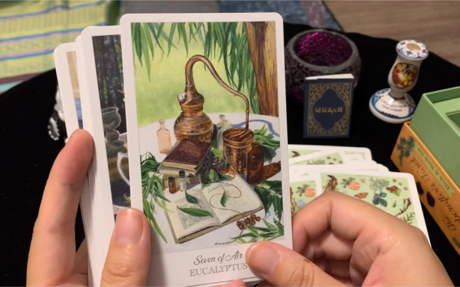 灵性草药塔罗牌 the herbcrafters tarot ～开箱欣赏