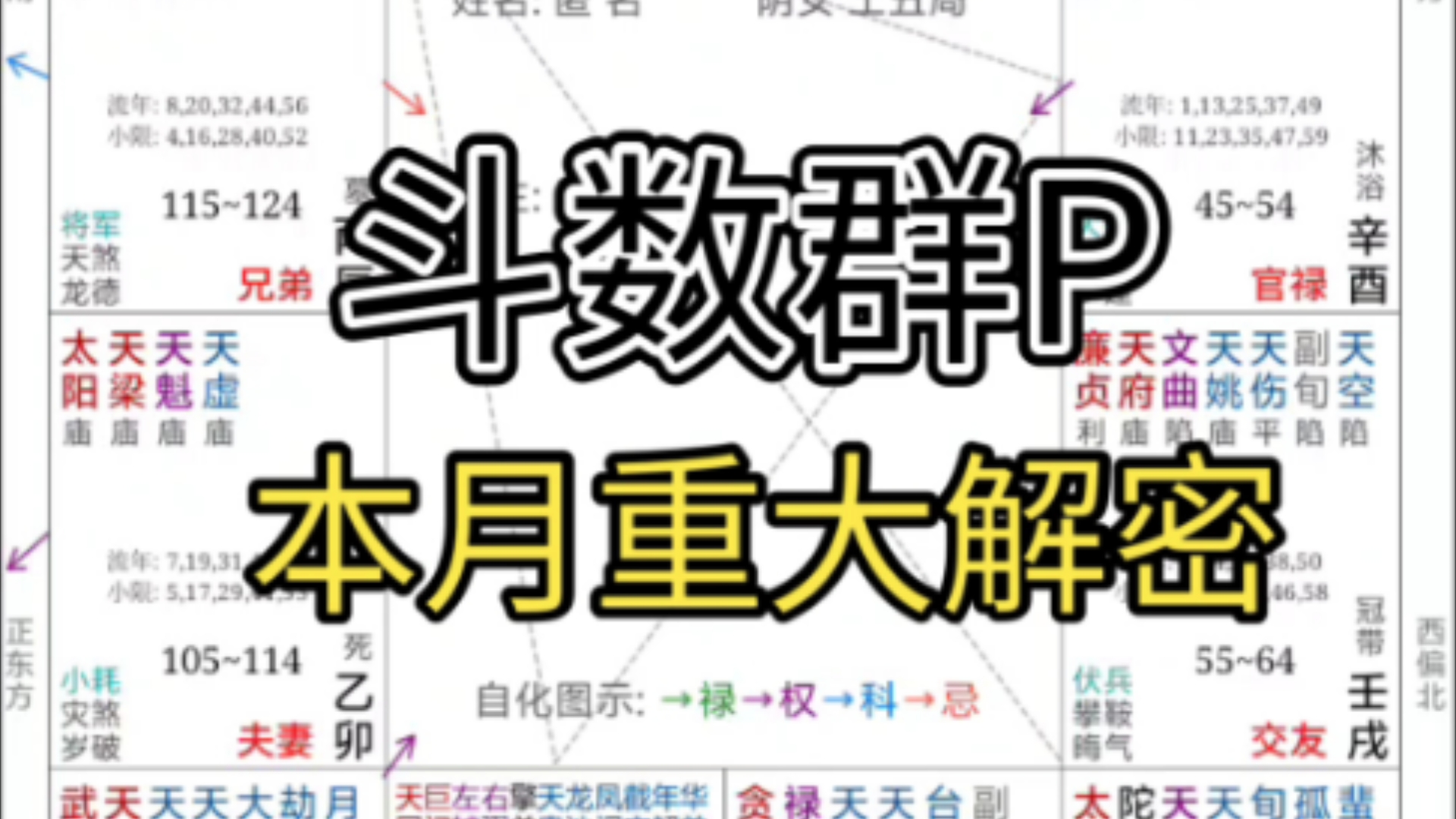 紫微斗数群P哔哩哔哩bilibili