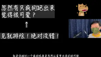 16年12月日语能力考n1 阅读详解 哔哩哔哩 Bilibili