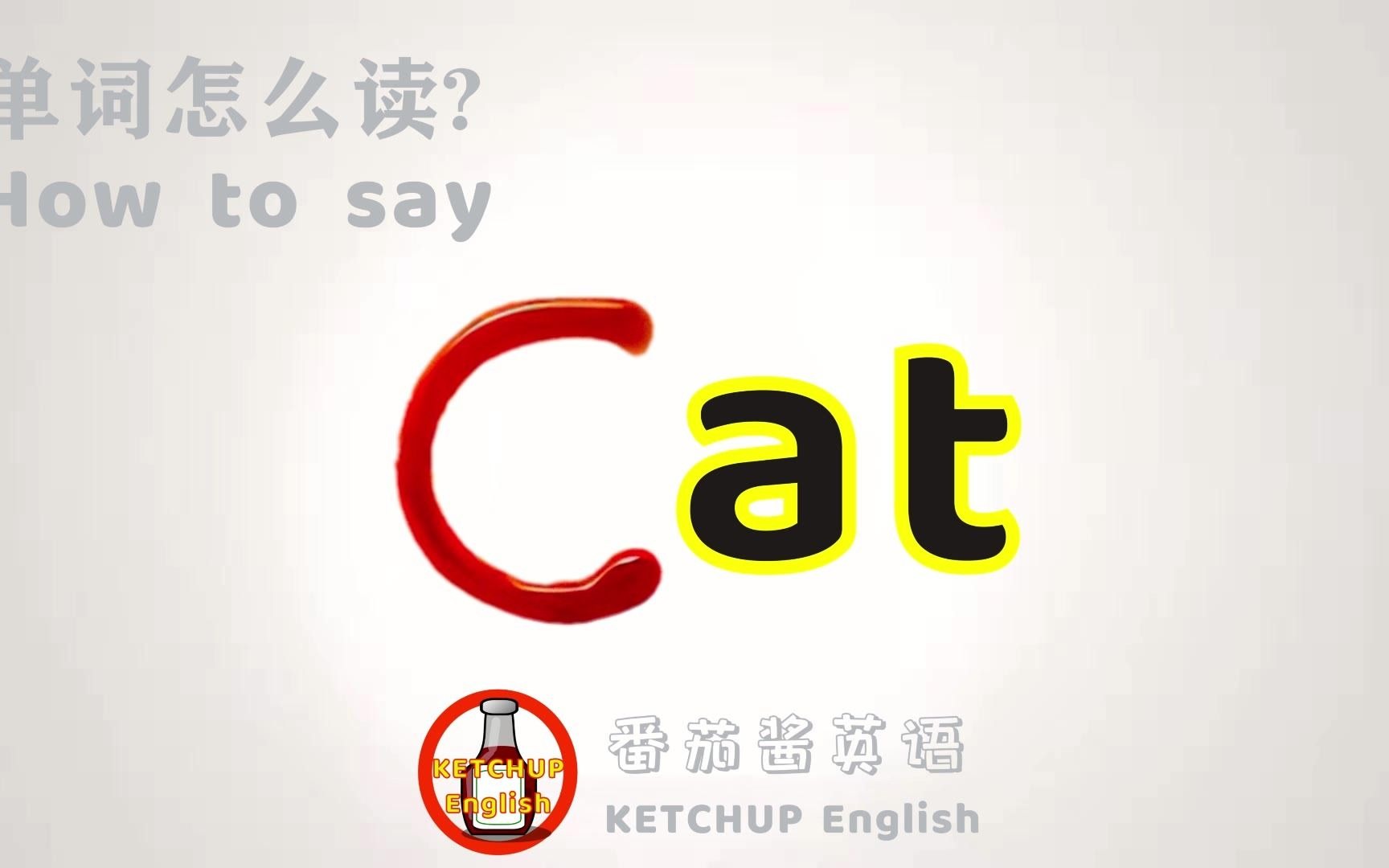 外教发音|How To Pronounce Cat【猫】怎么读?|每天学单词背单词哔哩哔哩bilibili