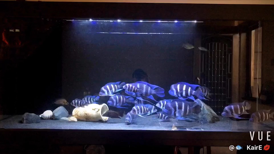 三湖萨伊蓝-六间