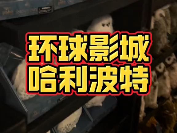 需要五号电池当心脏的海德薇在美国环球影城多少钱?哔哩哔哩bilibili